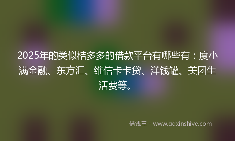2025年的类似桔多多的借款平台有哪些有：度小满金融、东方汇、维信卡卡贷、洋钱罐、美团生活费等。