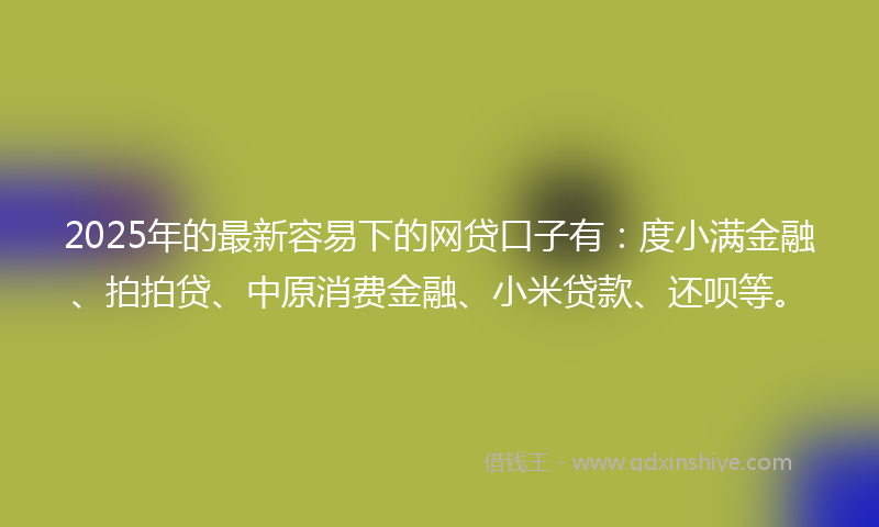 2025年的最新容易下的网贷口子有：度小满金融、拍拍贷、中原消费金融、小米贷款、还呗等。