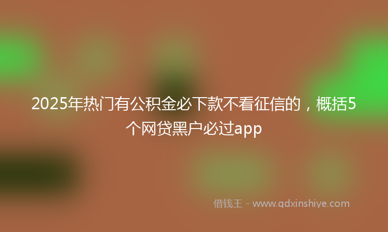 2025年热门有公积金必下款不看征信的，概括5个网贷黑户必过app