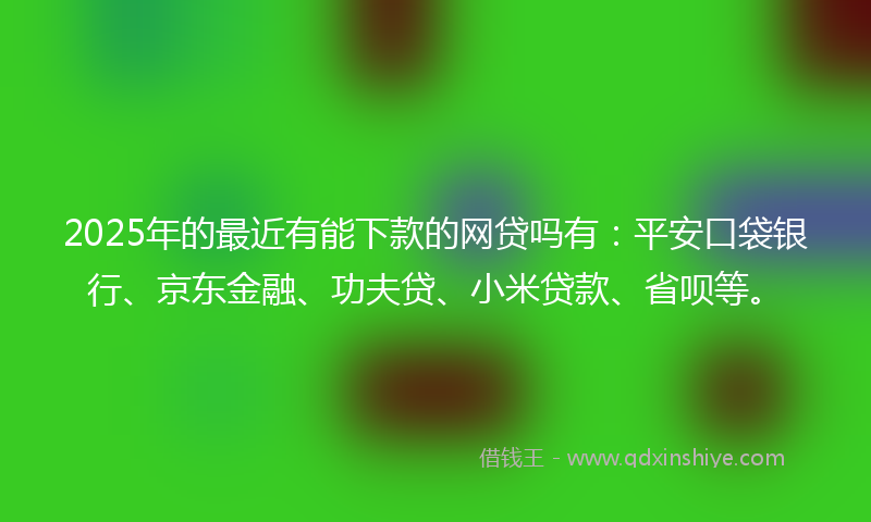 2025年的最近有能下款的网贷吗有：平安口袋银行、京东金融、功夫贷、小米贷款、省呗等。