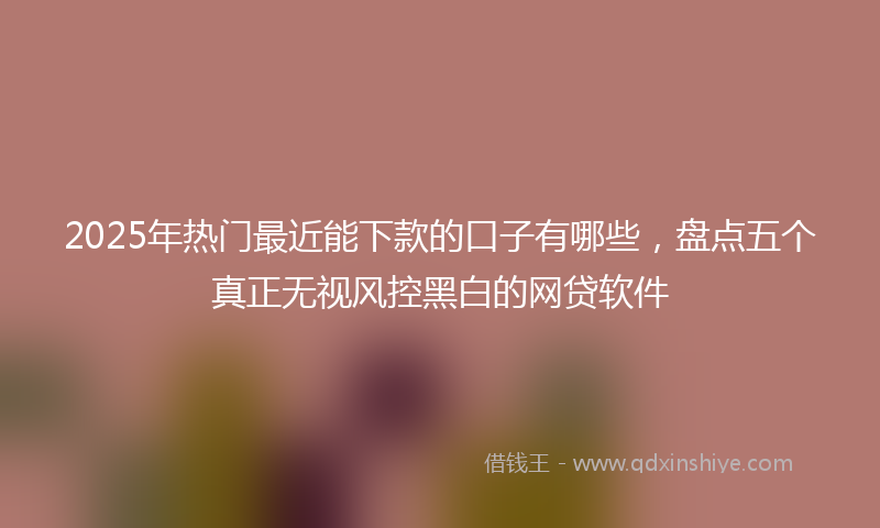 2025年热门最近能下款的口子有哪些，盘点五个真正无视风控黑白的网贷软件