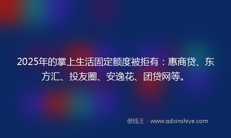 2025年的掌上生活固定额度被拒有：惠商贷、东方汇、投友圈、安逸花、团贷网等。
