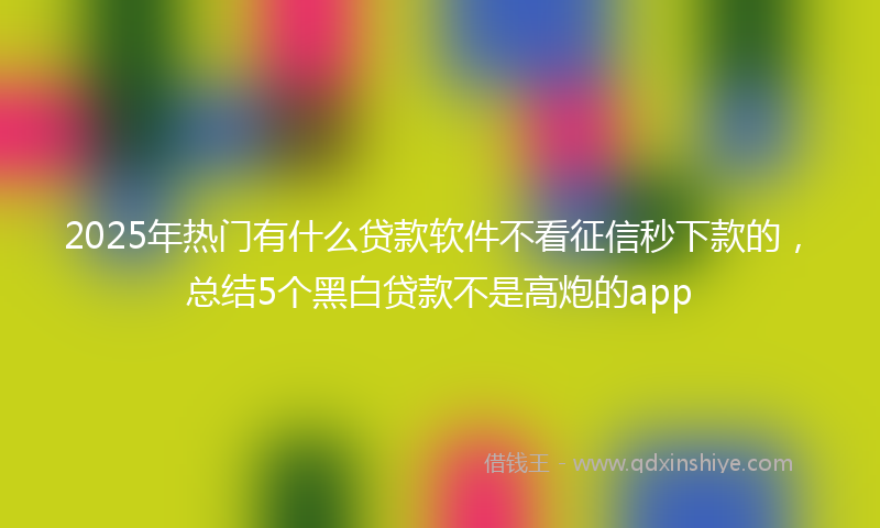 2025年热门有什么贷款软件不看征信秒下款的，总结5个黑白贷款不是高炮的app