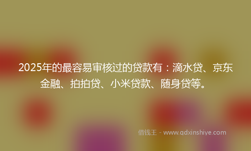 2025年的最容易审核过的贷款有：滴水贷、京东金融、拍拍贷、小米贷款、随身贷等。