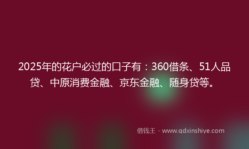2025年的花户必过的口子有：360借条、51人品贷、中原消费金融、京东金融、随身贷等。
