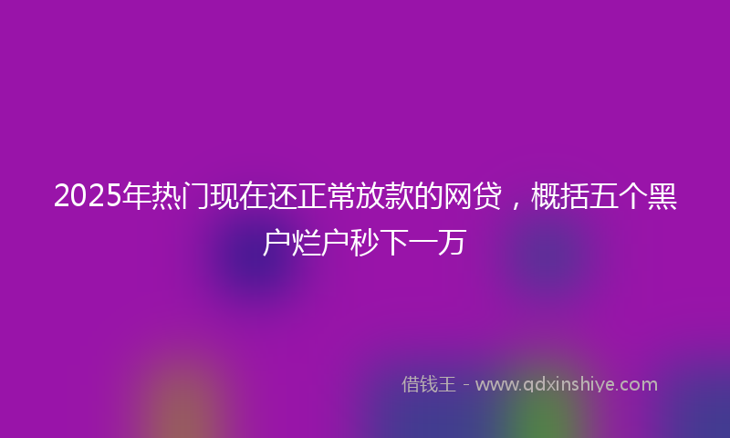 2025年热门现在还正常放款的网贷，概括五个黑户烂户秒下一万