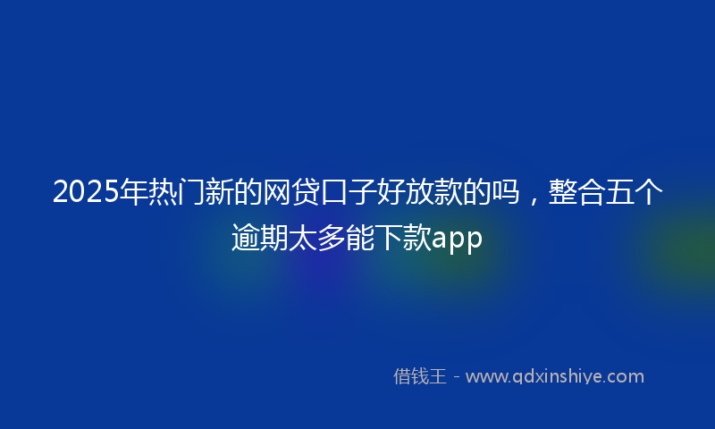 2025年热门新的网贷口子好放款的吗，整合五个逾期太多能下款app