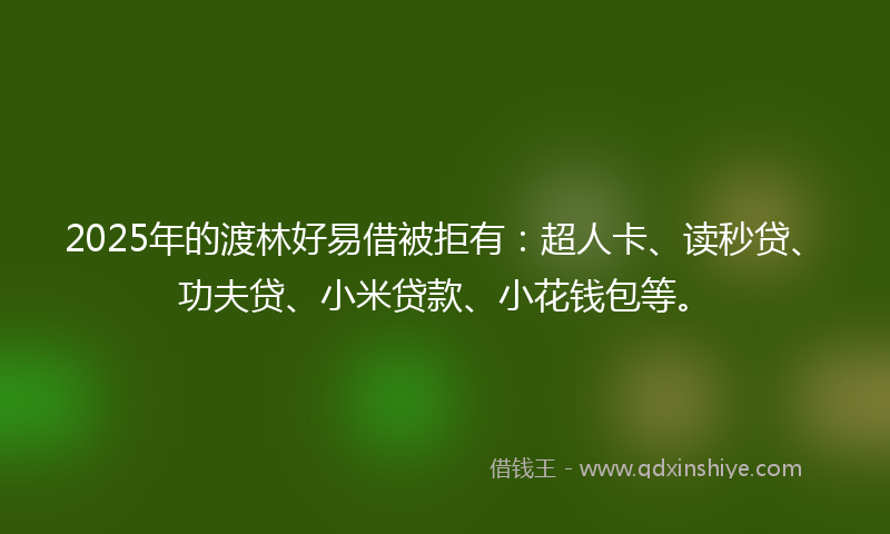2025年的渡林好易借被拒有：超人卡、读秒贷、功夫贷、小米贷款、小花钱包等。