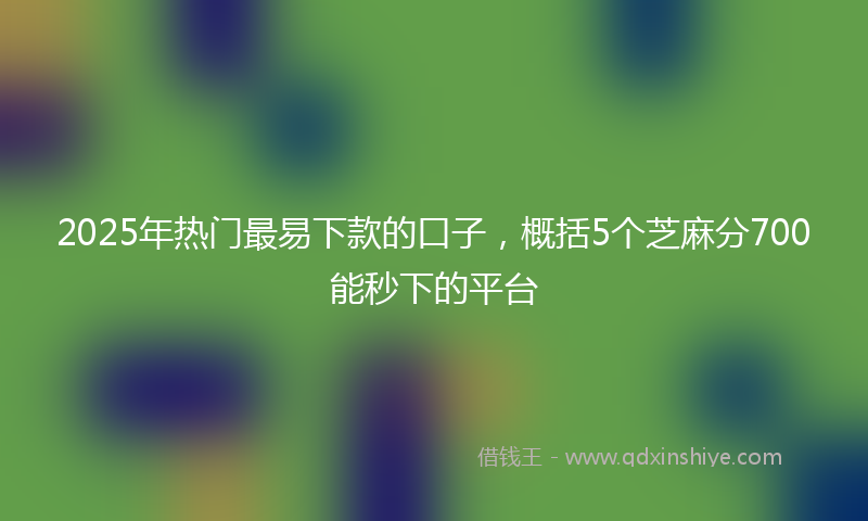 2025年热门最易下款的口子，概括5个芝麻分700能秒下的平台