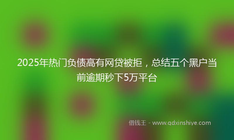 2025年热门负债高有网贷被拒，总结五个黑户当前逾期秒下5万平台