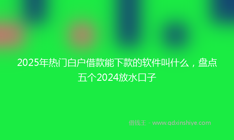 2025年热门白户借款能下款的软件叫什么，盘点五个2024放水口子