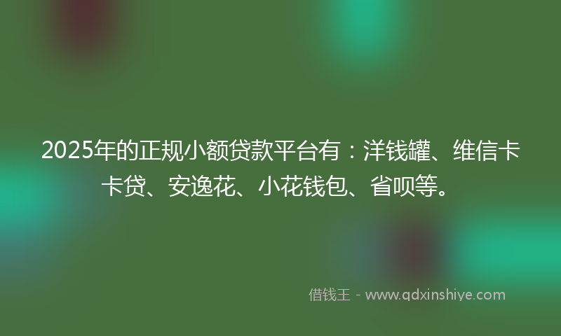 2025年的正规小额贷款平台有：洋钱罐、维信卡卡贷、安逸花、小花钱包、省呗等。