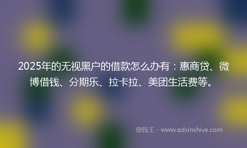 2025年的无视黑户的借款怎么办有：惠商贷、微博借钱、分期乐、拉卡拉、美团生活费等。