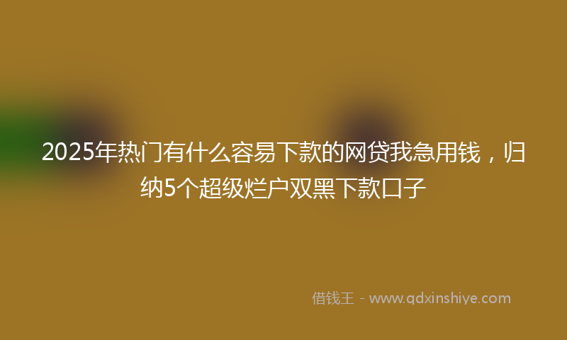 2025年热门有什么容易下款的网贷我急用钱，归纳5个超级烂户双黑下款口子