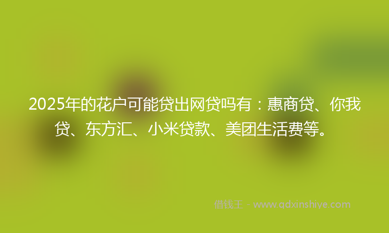 2025年的花户可能贷出网贷吗有：惠商贷、你我贷、东方汇、小米贷款、美团生活费等。