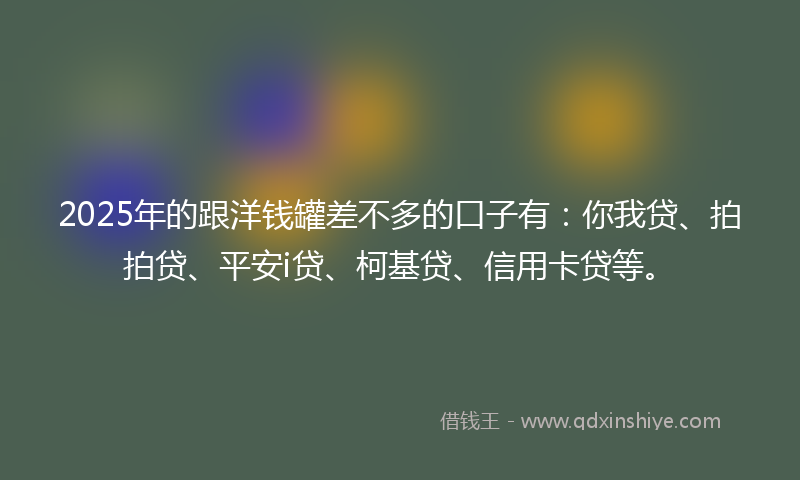2025年的跟洋钱罐差不多的口子有：你我贷、拍拍贷、平安i贷、柯基贷、信用卡贷等。