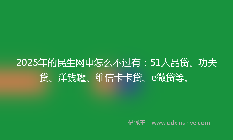 2025年的民生网申怎么不过有：51人品贷、功夫贷、洋钱罐、维信卡卡贷、e微贷等。