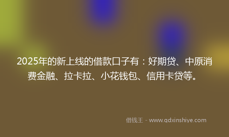 2025年的新上线的借款口子有：好期贷、中原消费金融、拉卡拉、小花钱包、信用卡贷等。