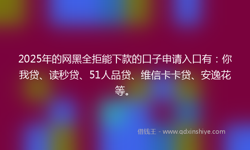 2025年的网黑全拒能下款的口子申请入口有：你我贷、读秒贷、51人品贷、维信卡卡贷、安逸花等。