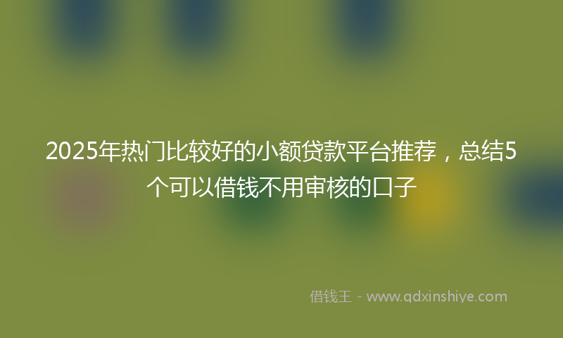 2025年热门比较好的小额贷款平台推荐，总结5个可以借钱不用审核的口子
