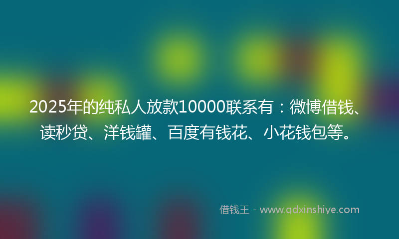 2025年的纯私人放款10000联系有：微博借钱、读秒贷、洋钱罐、百度有钱花、小花钱包等。
