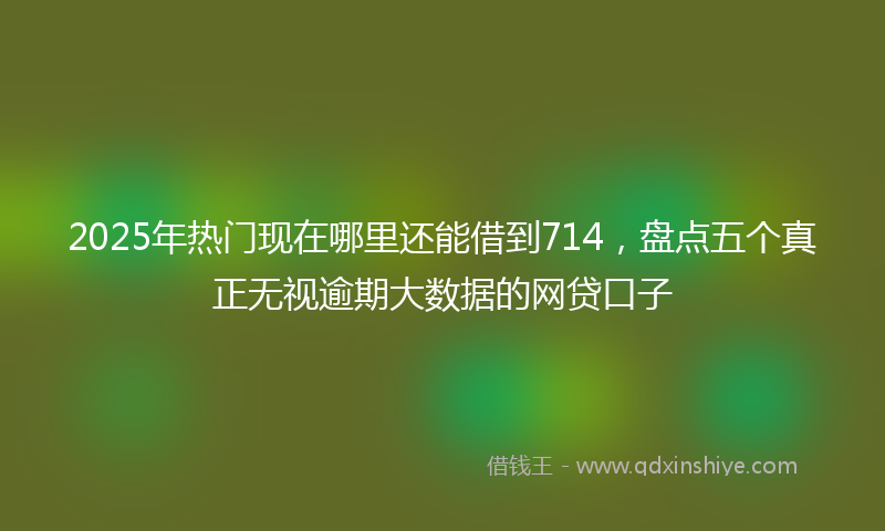 2025年热门现在哪里还能借到714，盘点五个真正无视逾期大数据的网贷口子