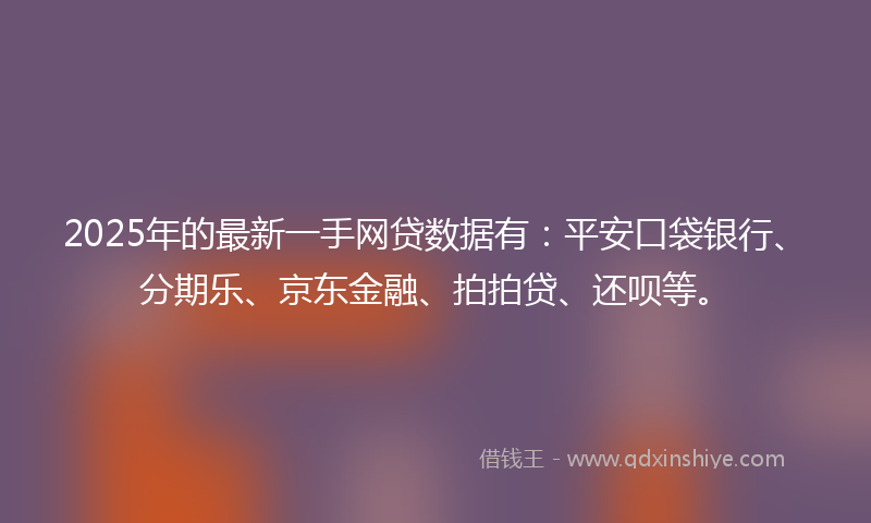 2025年的最新一手网贷数据有：平安口袋银行、分期乐、京东金融、拍拍贷、还呗等。