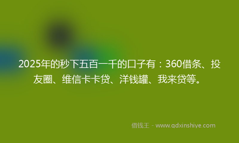 2025年的秒下五百一千的口子有：360借条、投友圈、维信卡卡贷、洋钱罐、我来贷等。