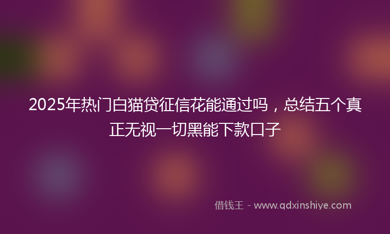 2025年热门白猫贷征信花能通过吗，总结五个真正无视一切黑能下款口子