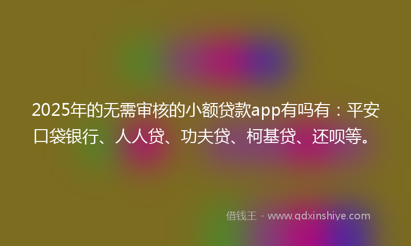 2025年的无需审核的小额贷款app有吗有：平安口袋银行、人人贷、功夫贷、柯基贷、还呗等。