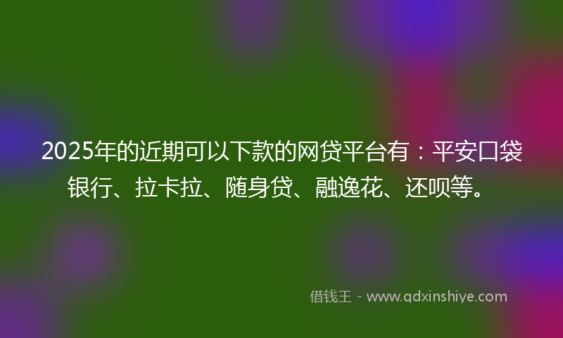 2025年的近期可以下款的网贷平台有：平安口袋银行、拉卡拉、随身贷、融逸花、还呗等。