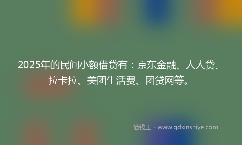 2025年的民间小额借贷有：京东金融、人人贷、拉卡拉、美团生活费、团贷网等。