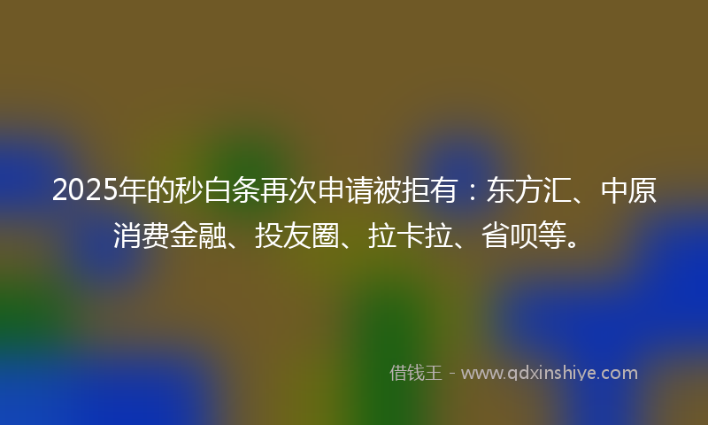 2025年的秒白条再次申请被拒有：东方汇、中原消费金融、投友圈、拉卡拉、省呗等。