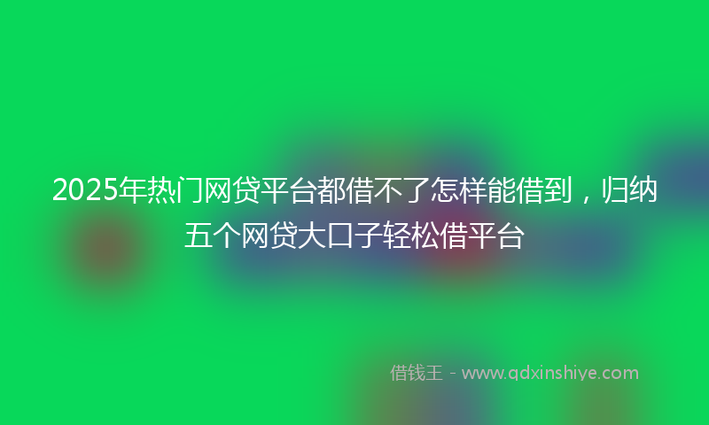 2025年热门网贷平台都借不了怎样能借到，归纳五个网贷大口子轻松借平台