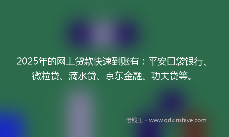 2025年的网上贷款快速到账有：平安口袋银行、微粒贷、滴水贷、京东金融、功夫贷等。