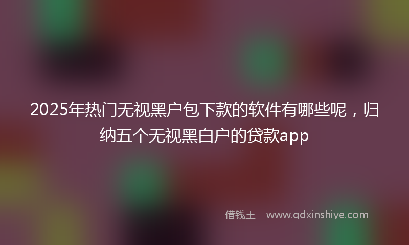 2025年热门无视黑户包下款的软件有哪些呢，归纳五个无视黑白户的贷款app