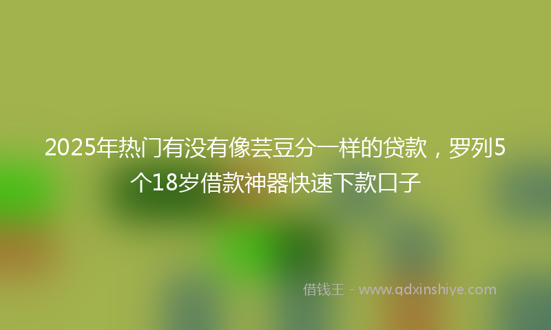2025年热门有没有像芸豆分一样的贷款，罗列5个18岁借款神器快速下款口子