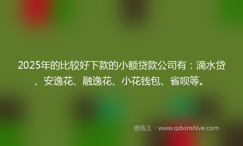 2025年的比较好下款的小额贷款公司有：滴水贷、安逸花、融逸花、小花钱包、省呗等。