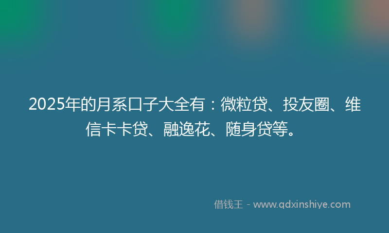 2025年的月系口子大全有：微粒贷、投友圈、维信卡卡贷、融逸花、随身贷等。
