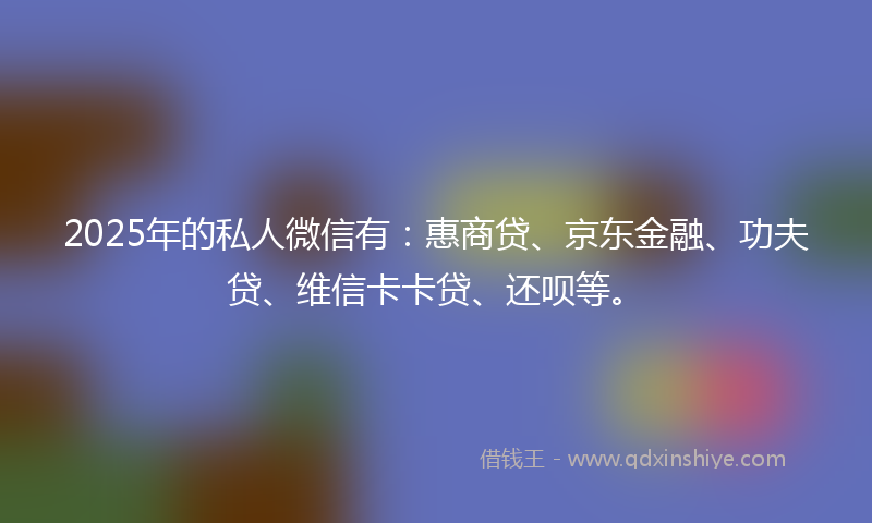 2025年的私人微信有：惠商贷、京东金融、功夫贷、维信卡卡贷、还呗等。