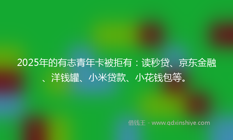 2025年的有志青年卡被拒有：读秒贷、京东金融、洋钱罐、小米贷款、小花钱包等。