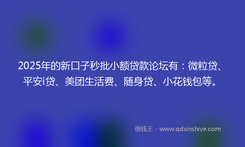 2025年的新口子秒批小额贷款论坛有：微粒贷、平安i贷、美团生活费、随身贷、小花钱包等。