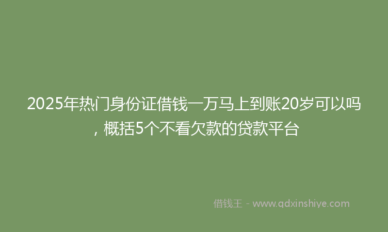 2025年热门身份证借钱一万马上到账20岁可以吗，概括5个不看欠款的贷款平台