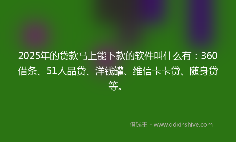 2025年的贷款马上能下款的软件叫什么有：360借条、51人品贷、洋钱罐、维信卡卡贷、随身贷等。