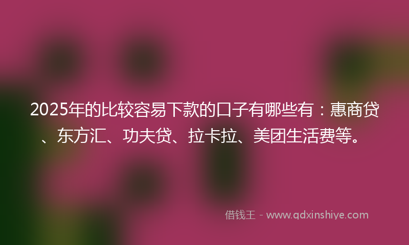 2025年的比较容易下款的口子有哪些有：惠商贷、东方汇、功夫贷、拉卡拉、美团生活费等。