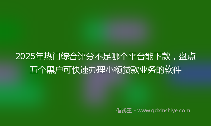 2025年热门综合评分不足哪个平台能下款，盘点五个黑户可快速办理小额贷款业务的软件