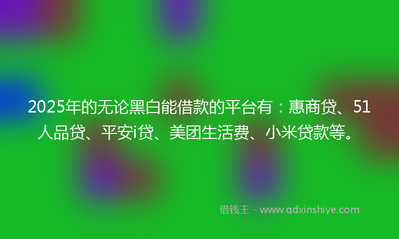 2025年的无论黑白能借款的平台有：惠商贷、51人品贷、平安i贷、美团生活费、小米贷款等。