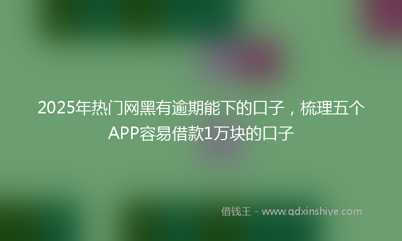2025年热门网黑有逾期能下的口子，梳理五个APP容易借款1万块的口子