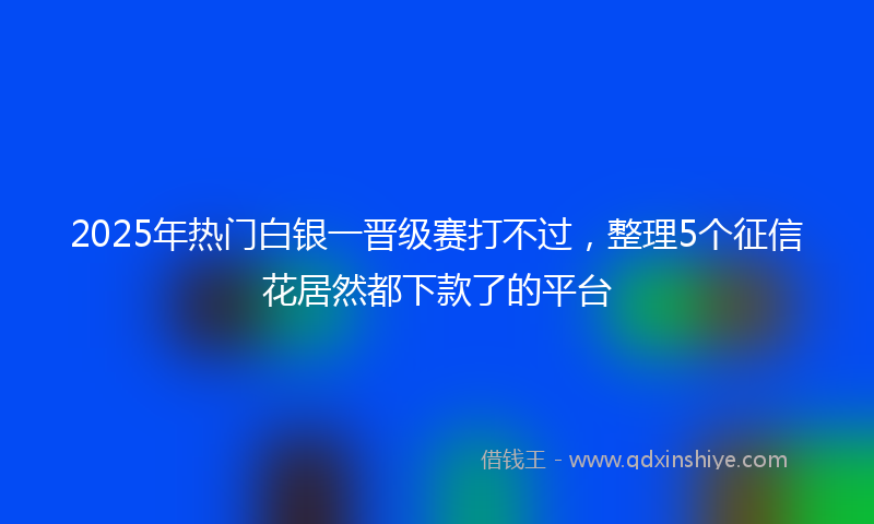 2025年热门白银一晋级赛打不过，整理5个征信花居然都下款了的平台