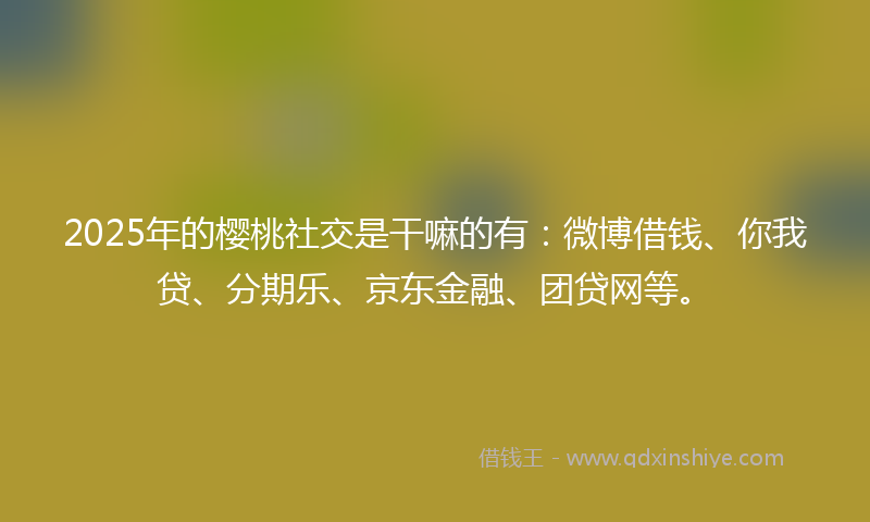 2025年的樱桃社交是干嘛的有：微博借钱、你我贷、分期乐、京东金融、团贷网等。